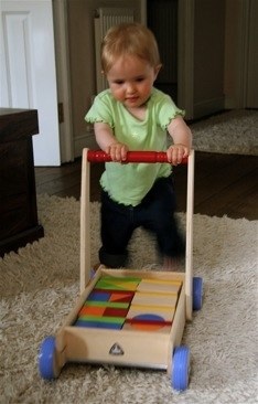 Baby Walker